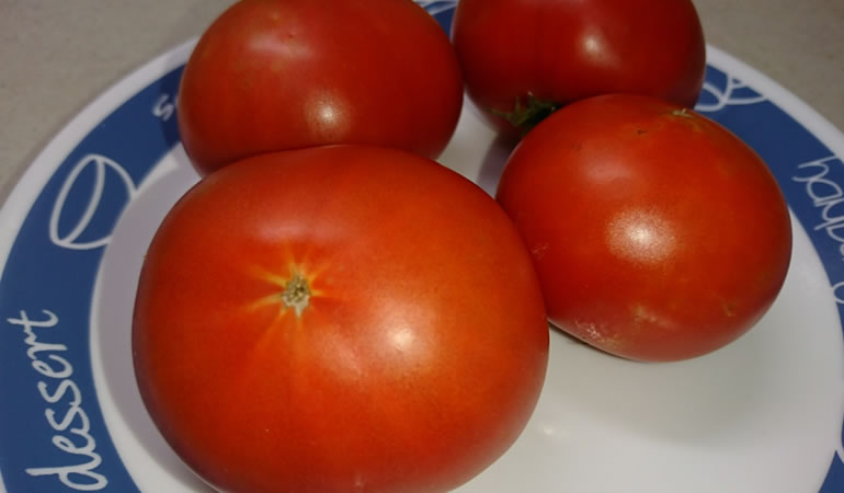 真っ赤なフルーツトマト