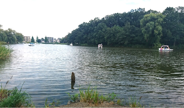 石神井公園のボート池です。石神井・大泉学園での遺言の作成をサポートしています。行政書士　瓜生和彦